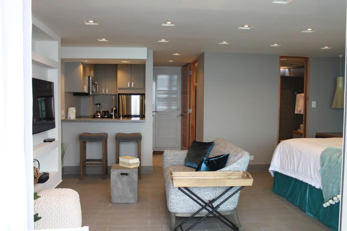 Enchanted 17 Jewel Beachfront Luquillo -Pool 외부 사진